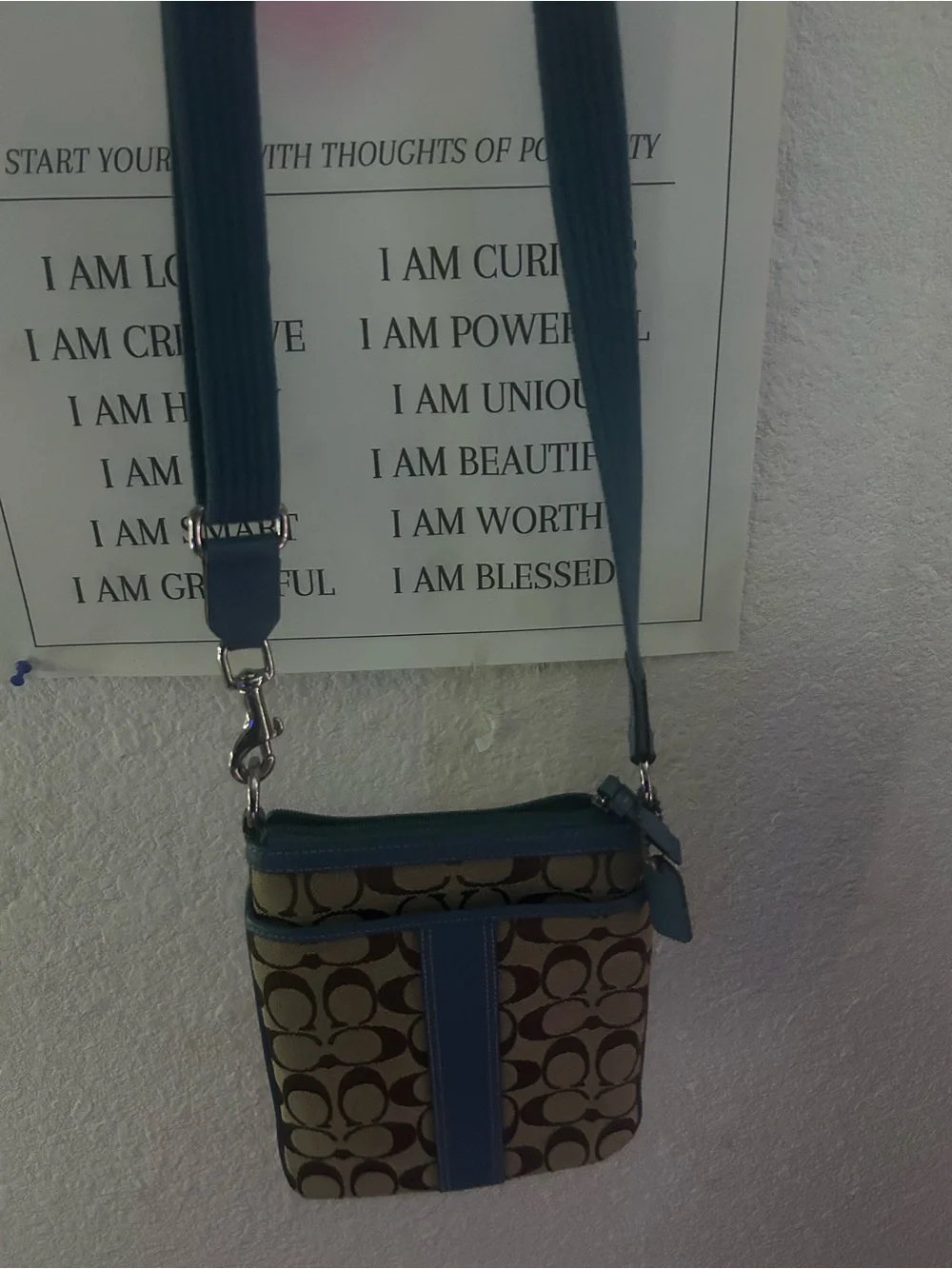 Coach Signature Crossbody Bag in Blue and Brown